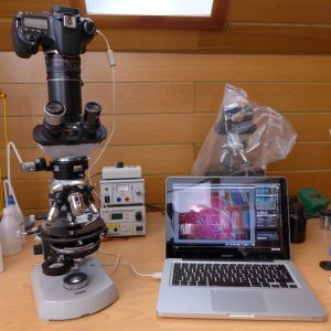 Olympus CX23 Binocular Microscope